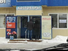 Яйцо Магазин по продаже яиц в Череповце