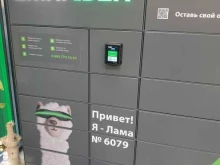 постамат OmniCdek в Кудрово