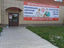 Ветеринарные клиники Черногорская служба скорой ветеринарной помощи в Черногорске