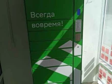 постамат СберЛогистика в Заречном