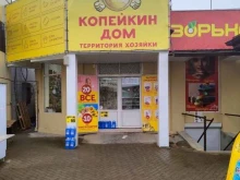 магазин хозяйственных товаров и бытовой химии Копейкин дом в Армавире