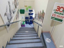 зоомагазин Зверье Мое в Сыктывкаре
