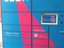 автоматизированный пункт выдачи Ozon box в Ярославле