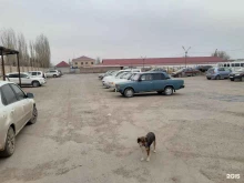 Сириус, Автомобилистов, 1в 