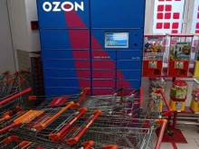 автоматизированный пункт выдачи Ozon box в Долгопрудном