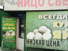 Яйцо Магазин по продаже яиц в Череповце