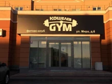 фитнес-клуб Кошелев gym в Самаре