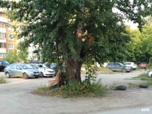 Автостоянки Автостоянка в Перми