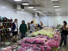 оптовая компания Green house в Краснодаре