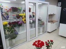 Цветы Marlene flowers в Мончегорске
