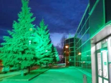 магазин женской одежды и сумок Вольный стиль в Тольятти