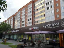 центр тестирования Academia в Одинцово