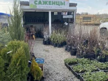 плодопитомник Елизовский в Елизово