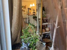 Кофейни Арт кофейня в Петрозаводске