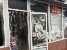 магазин зоотоваров Моська в Сочи