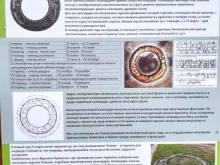 медицинская лаборатория KDL в Перми