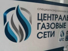Обслуживание внутридомового газового оборудования Центральные Газовые Сети в Томске