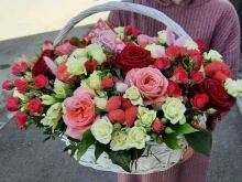 цветочный салон Cataleya в Кисловодске