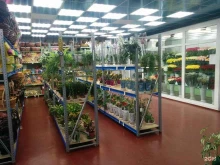 цветочный салон Королевская роза в Хабаровске