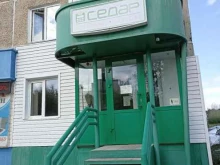 компания Седар в Саяногорске