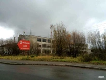 Алкогольные напитки Beer amir в Сыктывкаре