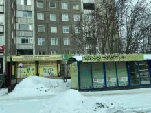 Смешные цены, улица Академика Книповича, 24 