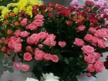 салон цветов Татьяна в Петрозаводске