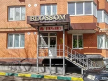 Blossom, улица Николая Руднева, 54 