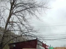 бар Гусаръ в Нижнем Новгороде