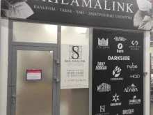 Skilamalink, Мичурина, 77 
