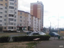 Семена / Посадочный материал OrenGreen в Оренбурге