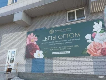 оптовая цветочная партия Опт крылья букетов в Новоалтайске