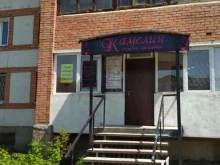 студия красоты Камелия в Пензе