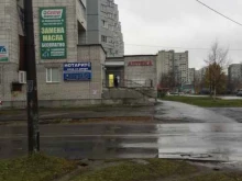 сообщество Добрые руки в Северодвинске