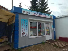 магазин товаров для животных Дружок в Перми