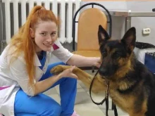 ветеринарная клиника Симба в Владимире