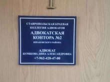 Ведение дел в судах Адвокат Бурикова Д.А. в Михайловске