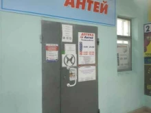 аптека Антей в Вологде