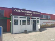 сельскохозяйственный рынок Восточный в Кызыле