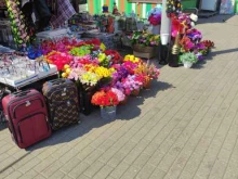 Одноразовая посуда Магазин тары искусственных цветов в Одинцово