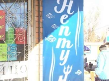 магазин разливного пива Нептун в Волгограде