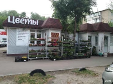 магазин Мир растений в Раменском