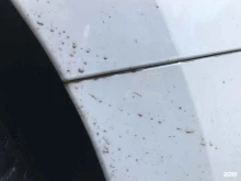 Glasscar_detailing, Болотникова 3-й проезд, 3 
