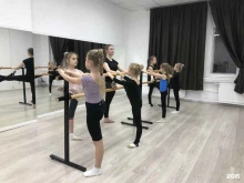 Детские / подростковые клубы Высшая школа художественной гимнастики в Санкт-Петербурге