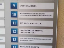 торговая компания Магнэс в Петрозаводске