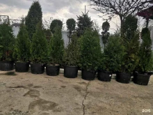 магазин Decor strit26 в Ставрополе