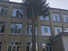Школы Катунинская средняя школа в Архангельске