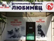 ветеринарная клиника Любимец в Анапе