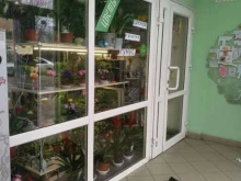 Услуги по упаковке подарков Цветочный магазин в Калининграде