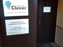 агентство домашнего персонала Clever в Москве